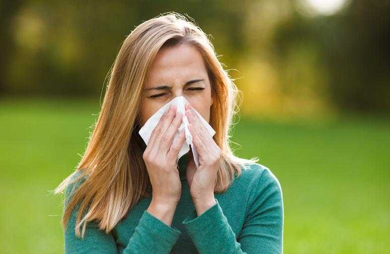 бывает ли аллергия на шиншилл