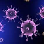 Репродукция вирусов: стадии, особенности, этапы развития и циклы