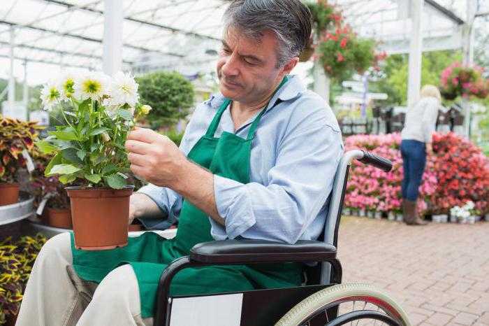 квотирование рабочих мест для инвалидов 