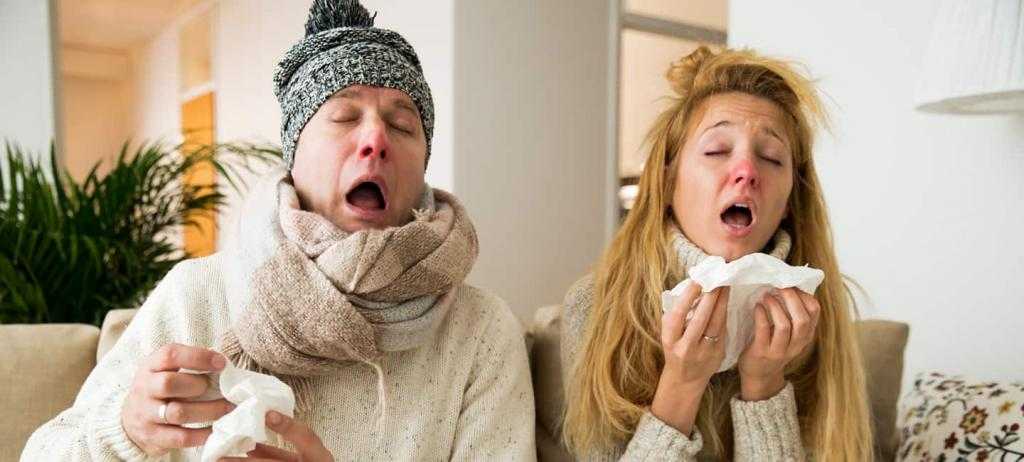 липа при простудных заболеваниях