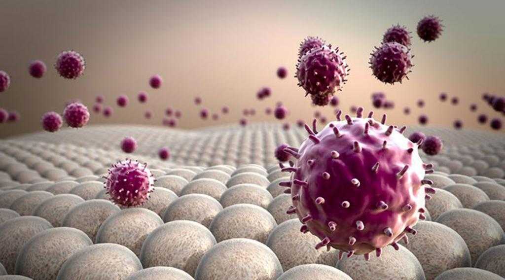 Лимфоциты разрушают ткани организма
