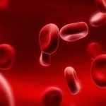 Сколько литров крови в человеке?