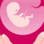 Аборт на 14 неделе: особенности проведения процедуры и возможные последствия