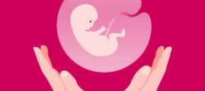 Аборт на 14 неделе: особенности проведения процедуры и возможные последствия