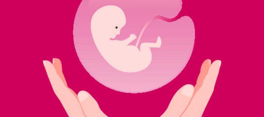 аборт на сроке 14 недель
