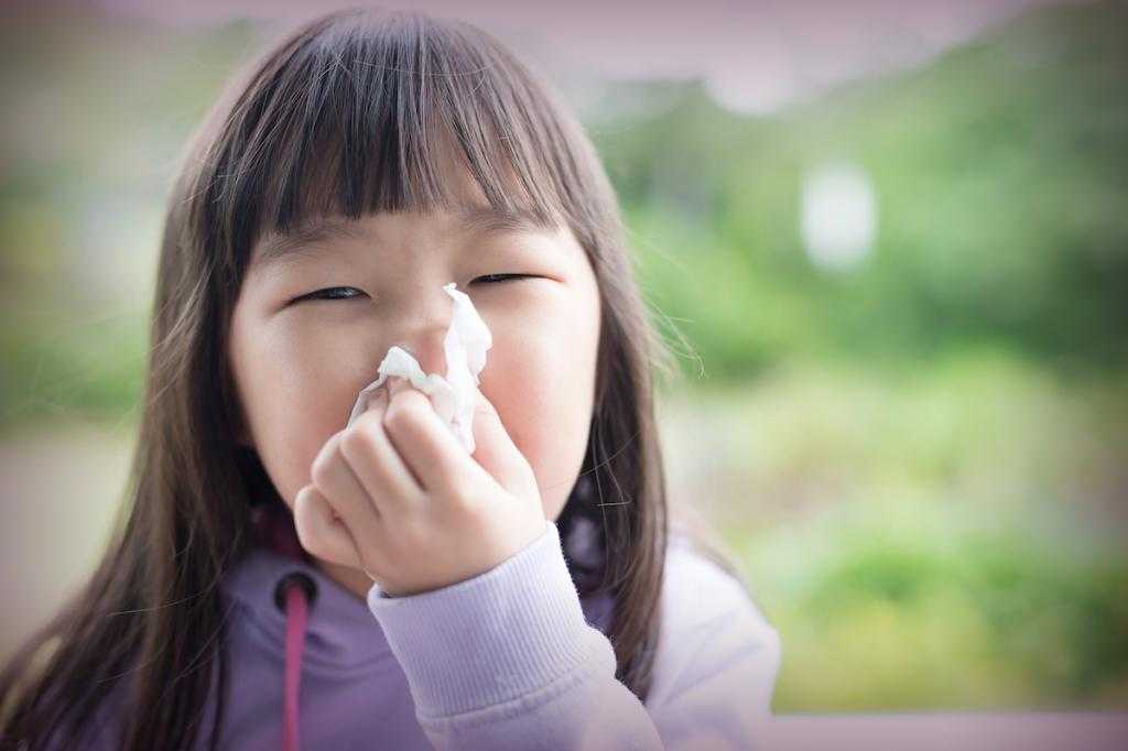 как промыть нос ромашкой в домашних