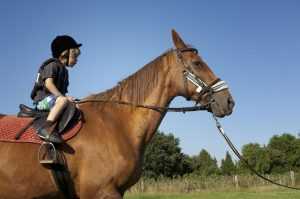 Лечение лошадьми: название терапии, методы