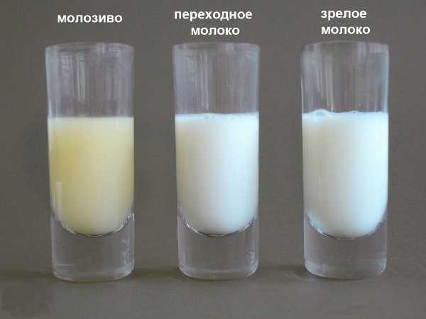 разновидности молока