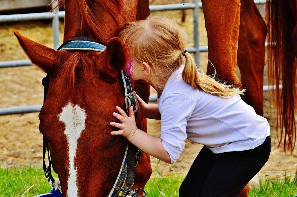 Лечение лошадьми детей