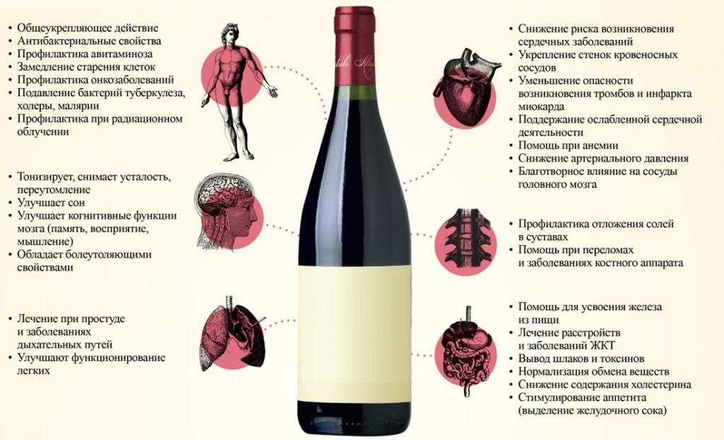особенности красного вина