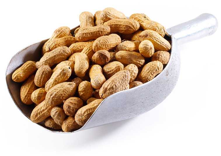 земляной орех арахис польза и вред